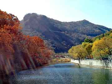 羊肚怎么处理没有味道