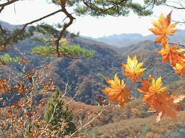 女生节是哪天