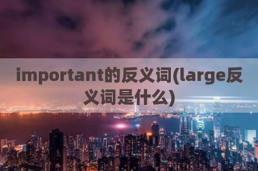 important的反义词(large反义词是什么)