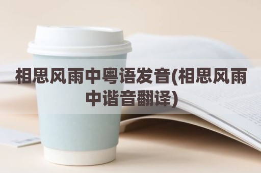 相思风雨中粤语发音(相思风雨中谐音翻译)