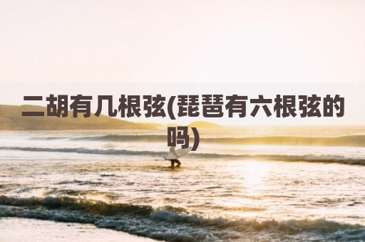 二胡有几根弦(琵琶有六根弦的吗)
