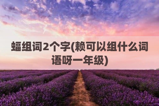 蝠组词2个字(赖可以组什么词语呀一年级)