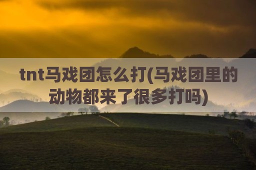 tnt马戏团怎么打(马戏团里的动物都来了很多打吗)