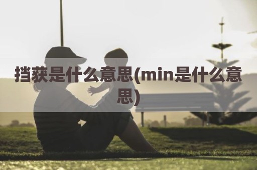 挡获是什么意思(min是什么意思)