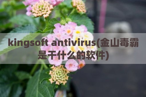 kingsoft antivirus(金山毒霸是干什么的软件)