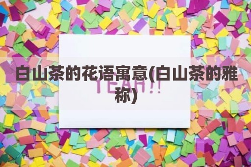 白山茶的花语寓意(白山茶的雅称)