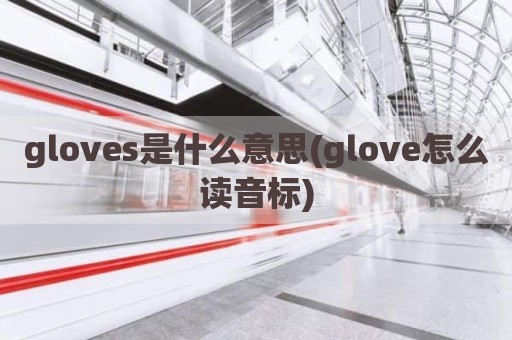 gloves是什么意思(glove怎么读音标)