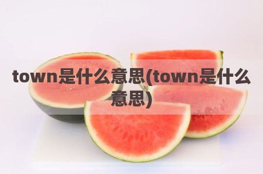 town是什么意思(town是什么意思)