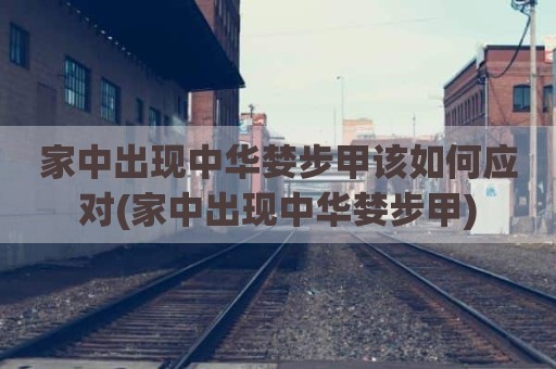 家中出现中华婪步甲该如何应对(家中出现中华婪步甲)