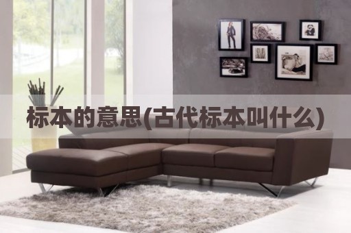 标本的意思(古代标本叫什么)