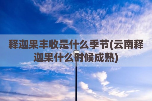 释迦果丰收是什么季节(云南释迦果什么时候成熟)