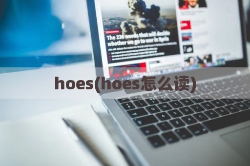 hoes(hoes怎么读)