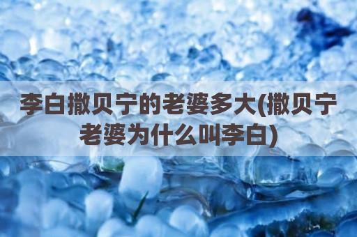 李白撒贝宁的老婆多大(撒贝宁老婆为什么叫李白)