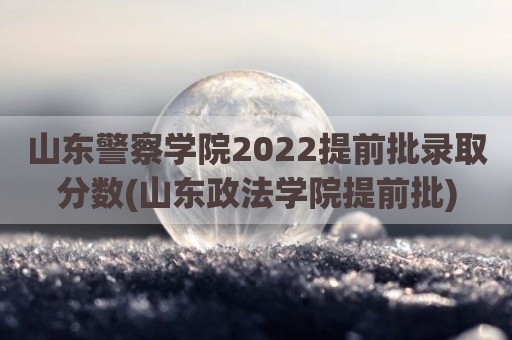山东警察学院2022提前批录取分数(山东政法学院提前批)