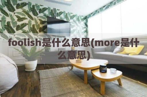 foolish是什么意思(more是什么意思)