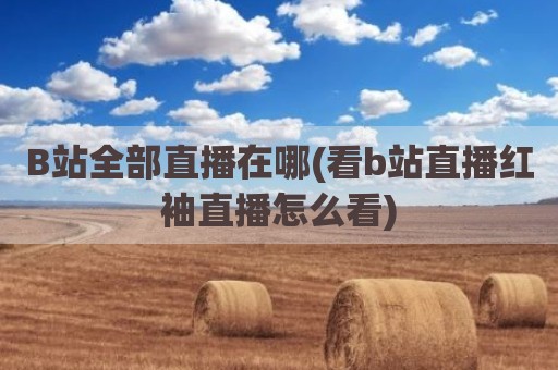 B站全部直播在哪(看b站直播红袖直播怎么看)