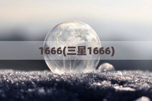 1666(三星1666)