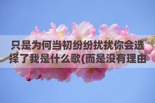 只是为何当初纷纷扰扰你会选择了我是什么歌(而是没有理由再去打扰你是什么歌)