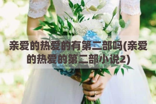 亲爱的热爱的有第二部吗(亲爱的热爱的第二部小说2)