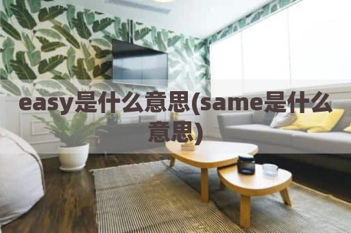 easy是什么意思(same是什么意思)