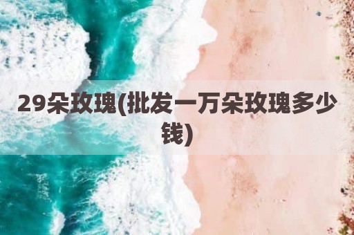 29朵玫瑰(批发一万朵玫瑰多少钱)