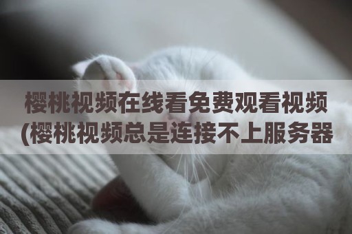 樱桃视频在线看免费观看视频(樱桃视频总是连接不上服务器)