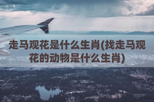 走马观花是什么生肖(找走马观花的动物是什么生肖)