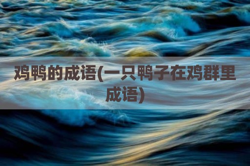 鸡鸭的成语(一只鸭子在鸡群里成语)
