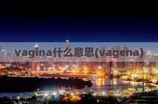 vagina什么意思(vagena)