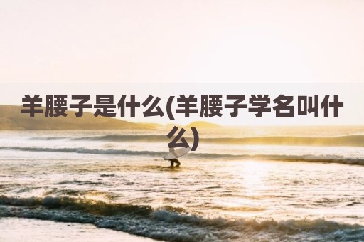 羊腰子是什么(羊腰子学名叫什么)