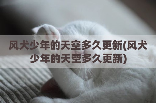 风犬少年的天空多久更新(风犬少年的天空多久更新)