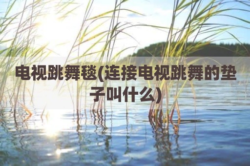 电视跳舞毯(连接电视跳舞的垫子叫什么)