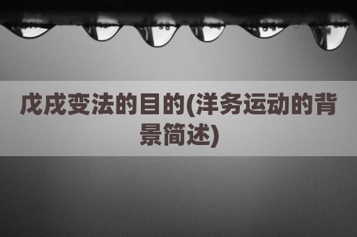 戊戌变法的目的(洋务运动的背景简述)