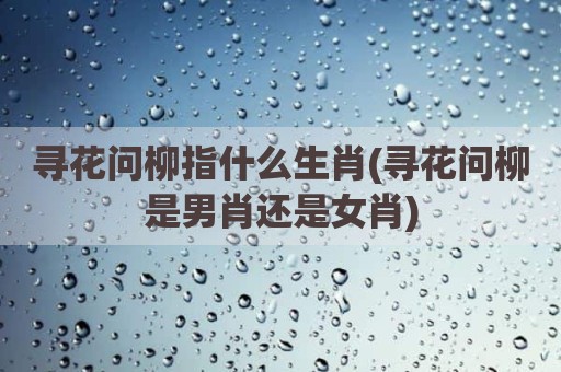 寻花问柳指什么生肖(寻花问柳是男肖还是女肖)