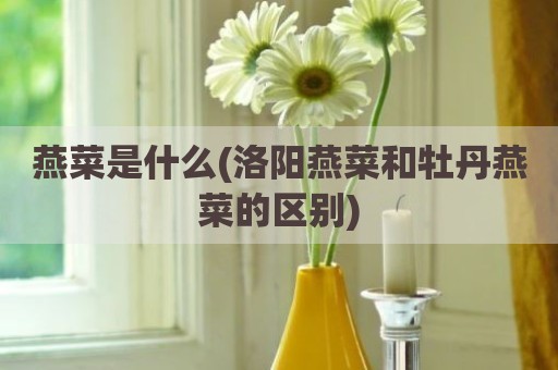 燕菜是什么(洛阳燕菜和牡丹燕菜的区别)