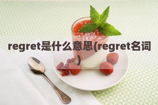 regret是什么意思(regret名词)