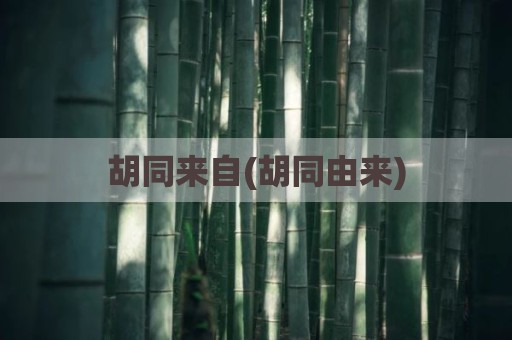 胡同来自(胡同由来)