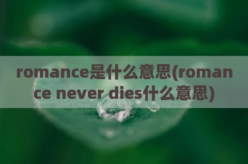 romance是什么意思(romance never dies什么意思)