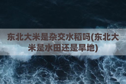 东北大米是杂交水稻吗(东北大米是水田还是旱地)