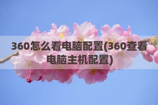 360怎么看电脑配置(360查看电脑主机配置)