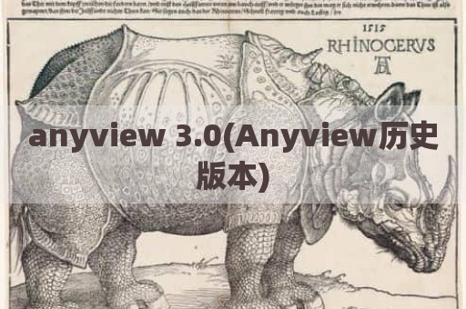 anyview 3.0(Anyview历史版本)