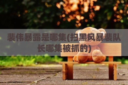 裴伟暴露是哪集(扫黑风暴裴队长哪集被抓的)