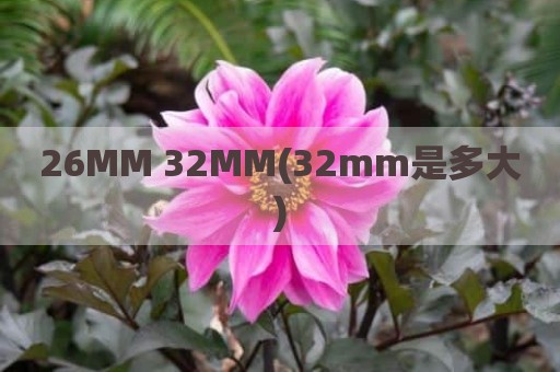 26MM 32MM(32mm是多大)