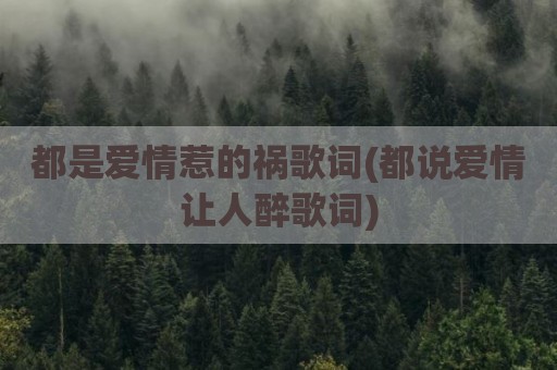 都是爱情惹的祸歌词(都说爱情让人醉歌词)