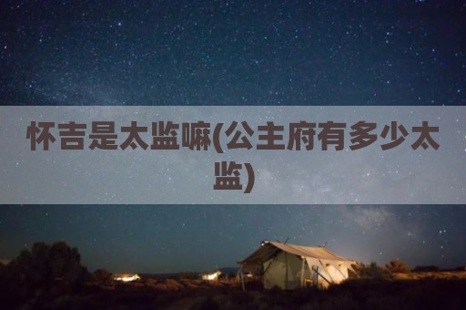 怀吉是太监嘛(公主府有多少太监)