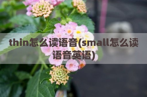 thin怎么读语音(small怎么读语音英语)