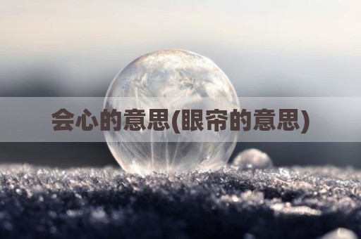 会心的意思(眼帘的意思)