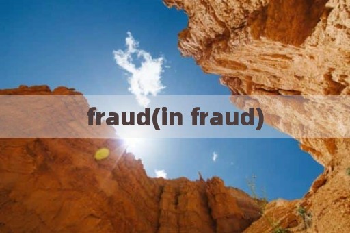 fraud(in fraud)