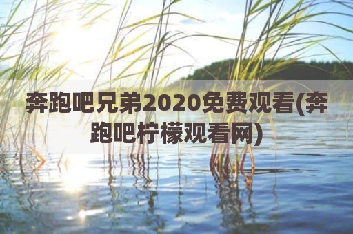 奔跑吧兄弟2020免费观看(奔跑吧柠檬观看网)