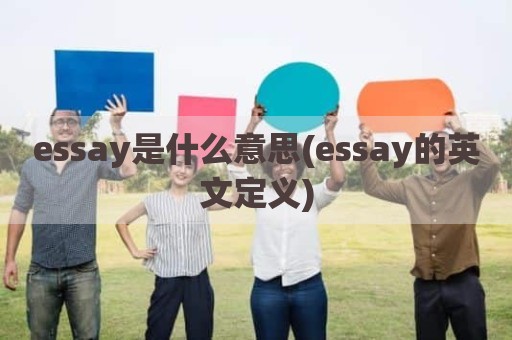 essay是什么意思(essay的英文定义)